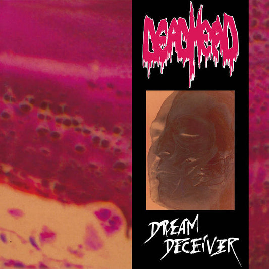 DEAD HEAD - Dream Deceiver LP
